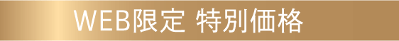 WEB限定 特別価格