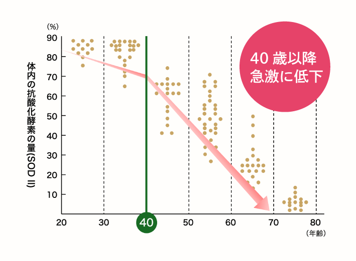 ミトコンドリアの役割 図解