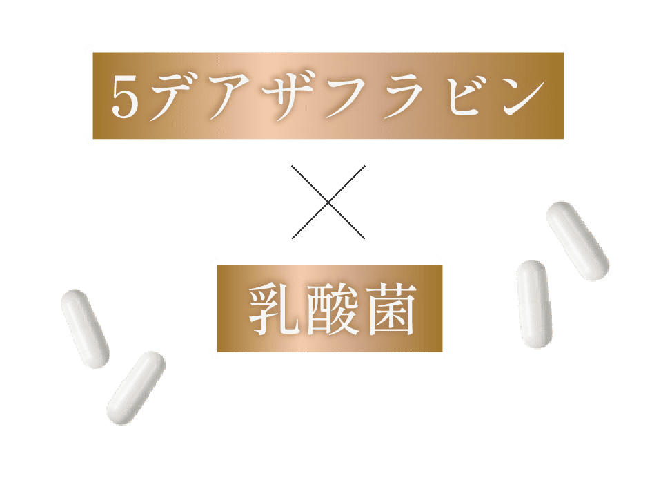 5デアザフラビンと乳酸菌