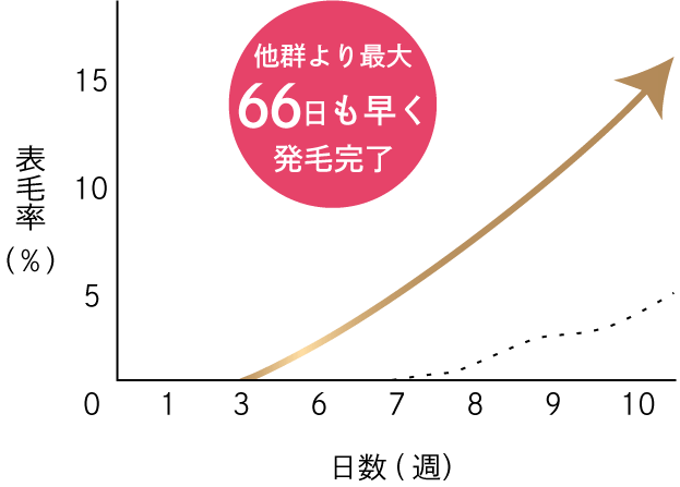 発毛スピード実験